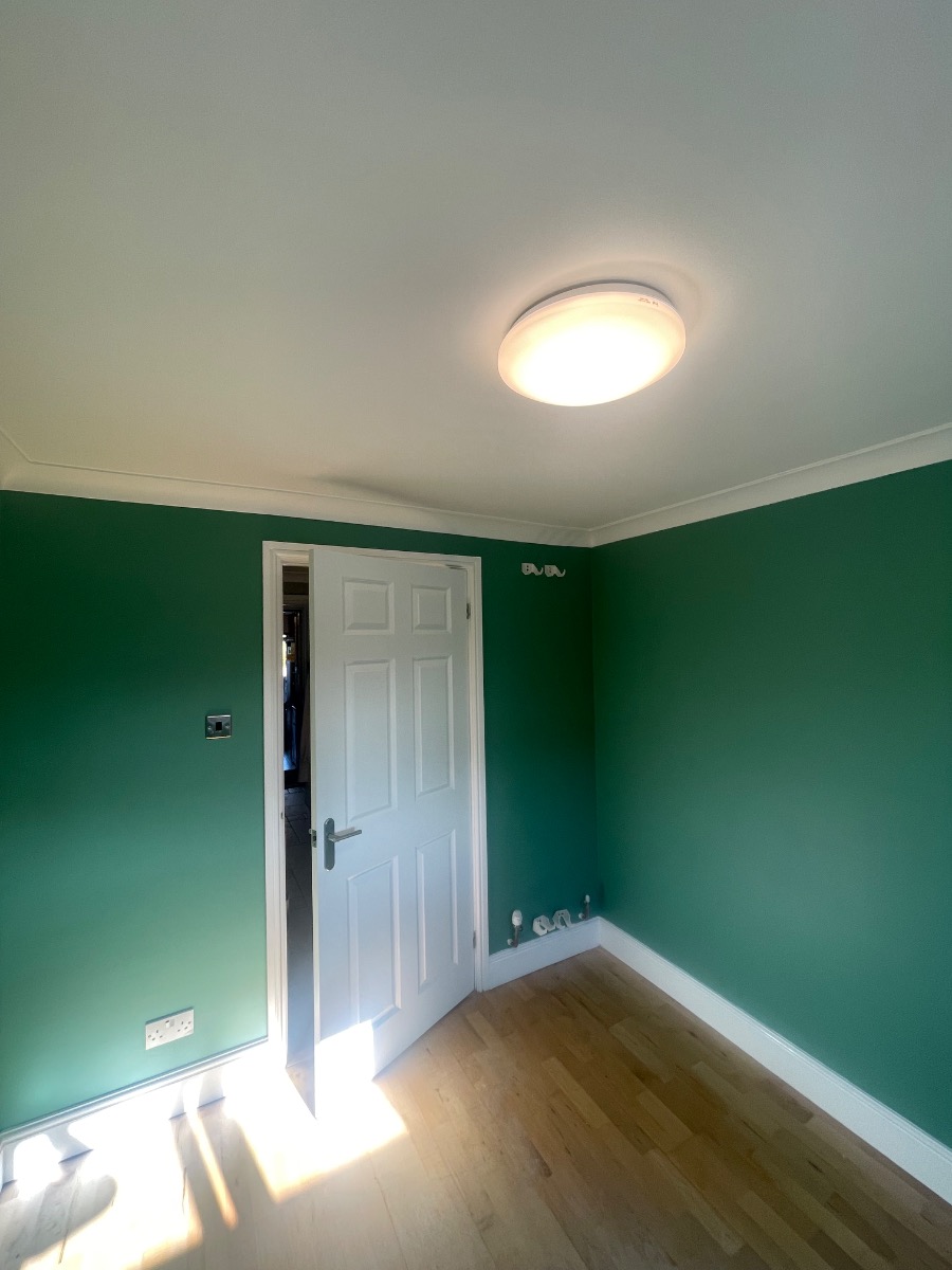 Painter and Decorator: Image 1